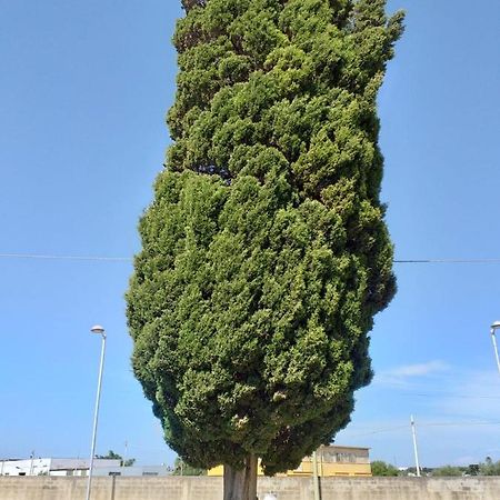 L'Albero Bello Holiday Mazara del Vallo Bagian luar foto