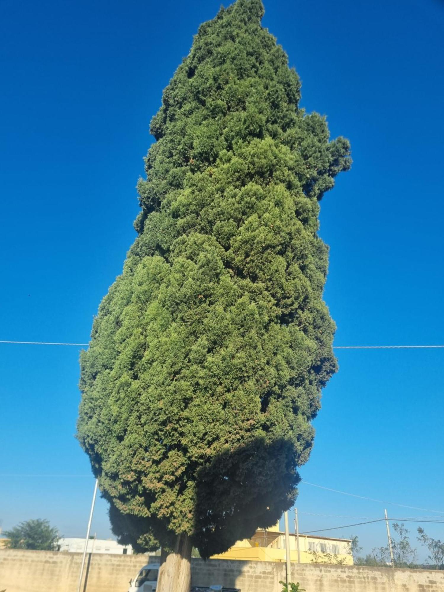 L'Albero Bello Holiday Mazara del Vallo Bagian luar foto